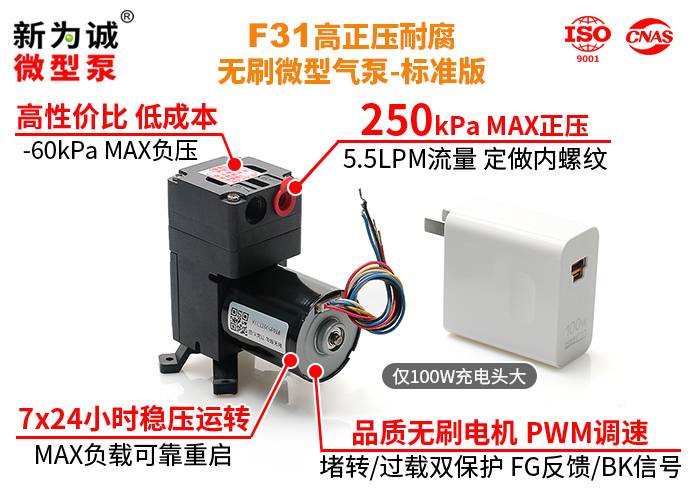 F31-03