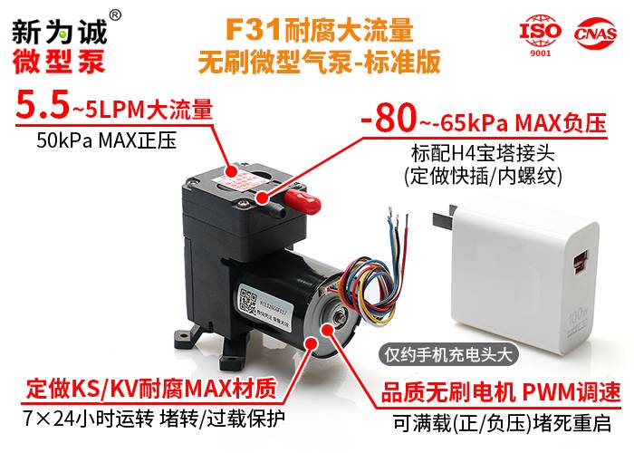 F31-01